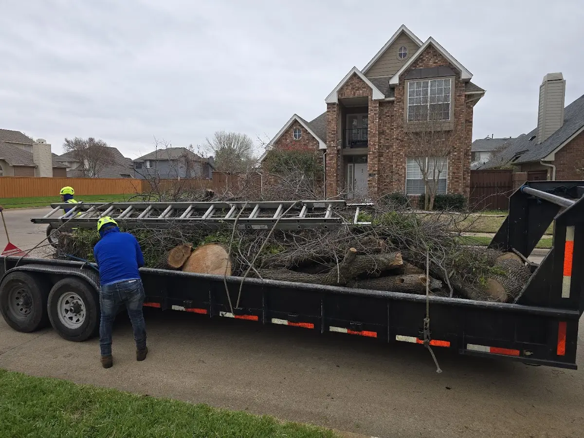 Expert Tree Pest Control with proper safety equipment in Winterville